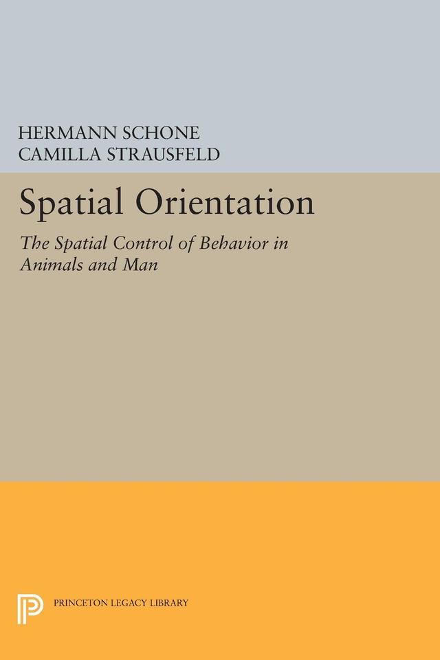 Spatial Orientation by Camilla Strausfeld, Hermann Schone