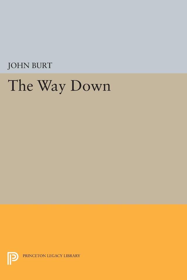 The Way Down by John Burt