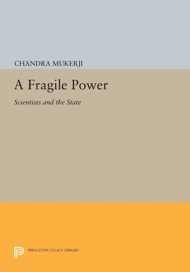 A Fragile Power by Chandra Mukerji