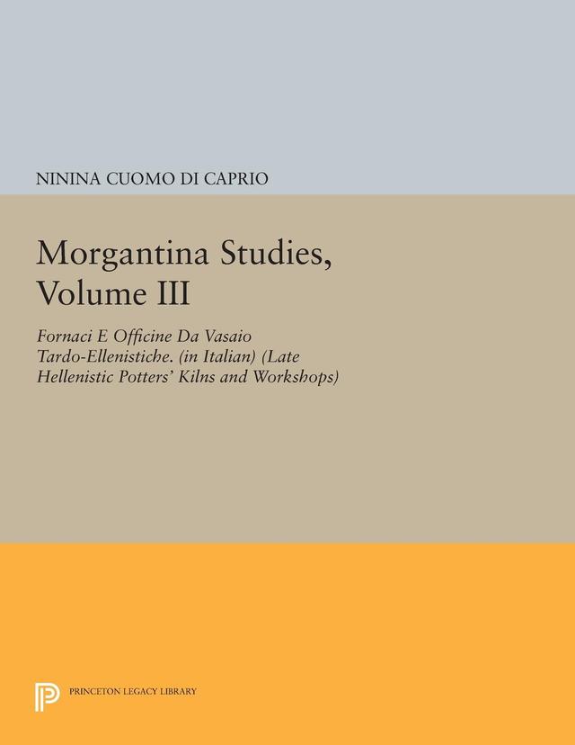 Morgantina Studies, Volume III by Ninina Cuomo di Caprio