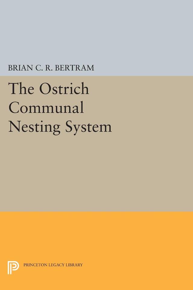 The Ostrich Communal Nesting System by Brian C.R. Bertram
