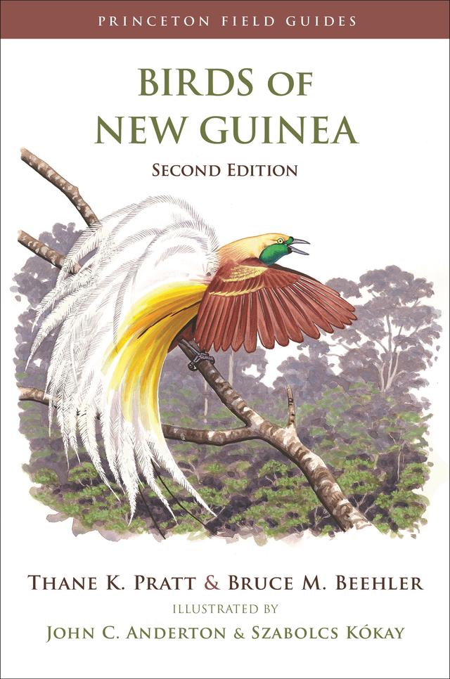 Birds of New Guinea by Bruce M. Beehler, John C. Anderton, Szabolcs Kókay, Thane K. Pratt