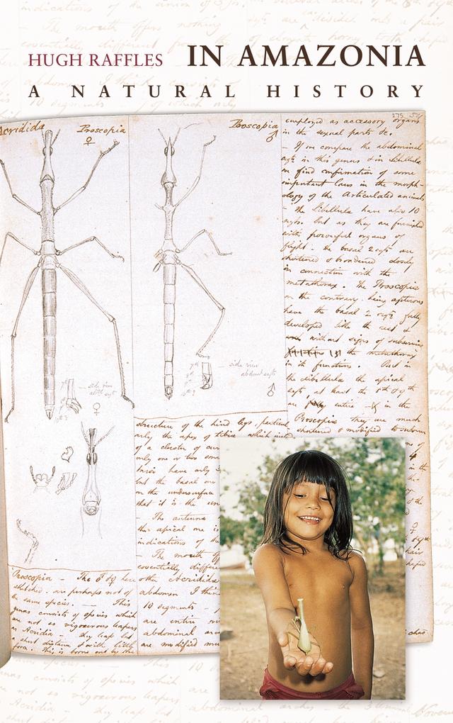 In Amazonia by Hugh Raffles