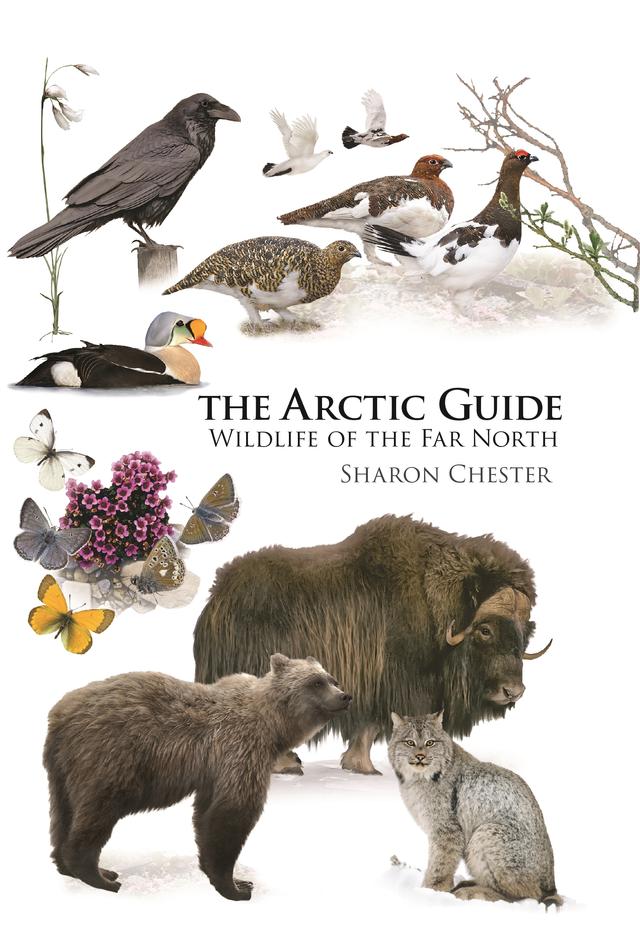 The Arctic Guide by Sharon Chester