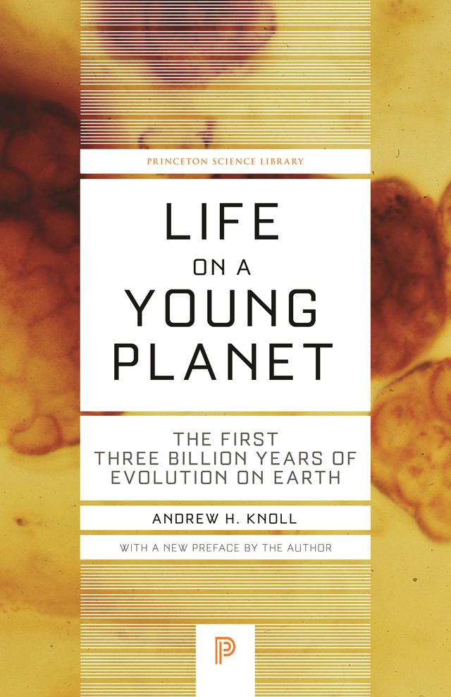 Life on a Young Planet by Andrew H. Knoll