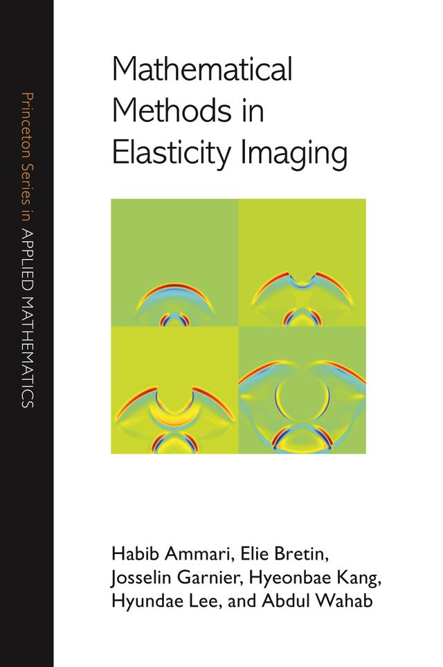 Mathematical Methods in Elasticity Imaging by Abdul Wahab, Elie Bretin, Habib Ammari, Hyeonbae Kang, Hyundae Lee, Josselin Garnier