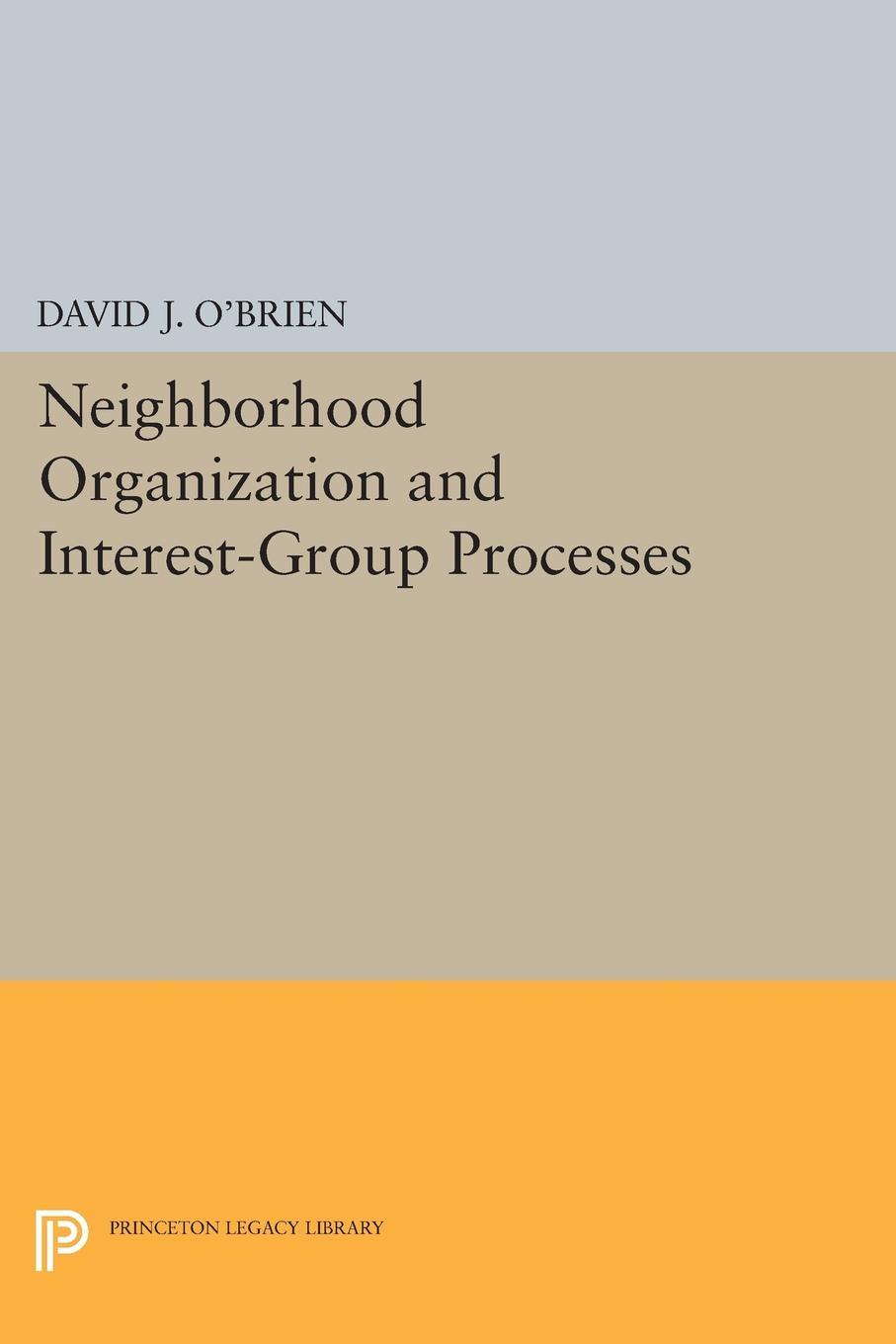 Neighborhood Organization and Interest-Group Processes