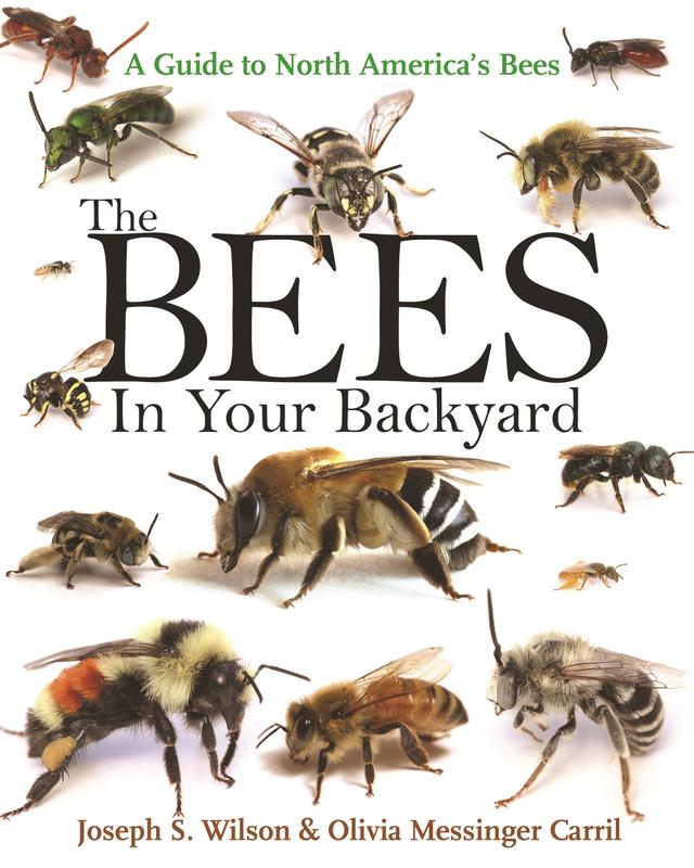 The Bees in Your Backyard by Joseph S. Wilson, Olivia Messinger Carril