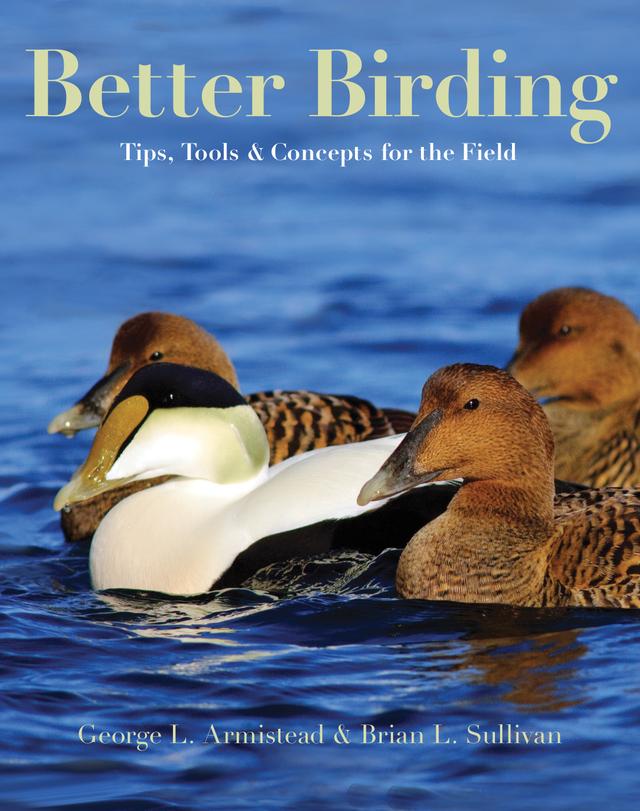 Better Birding by Brian L. Sullivan, George L. Armistead