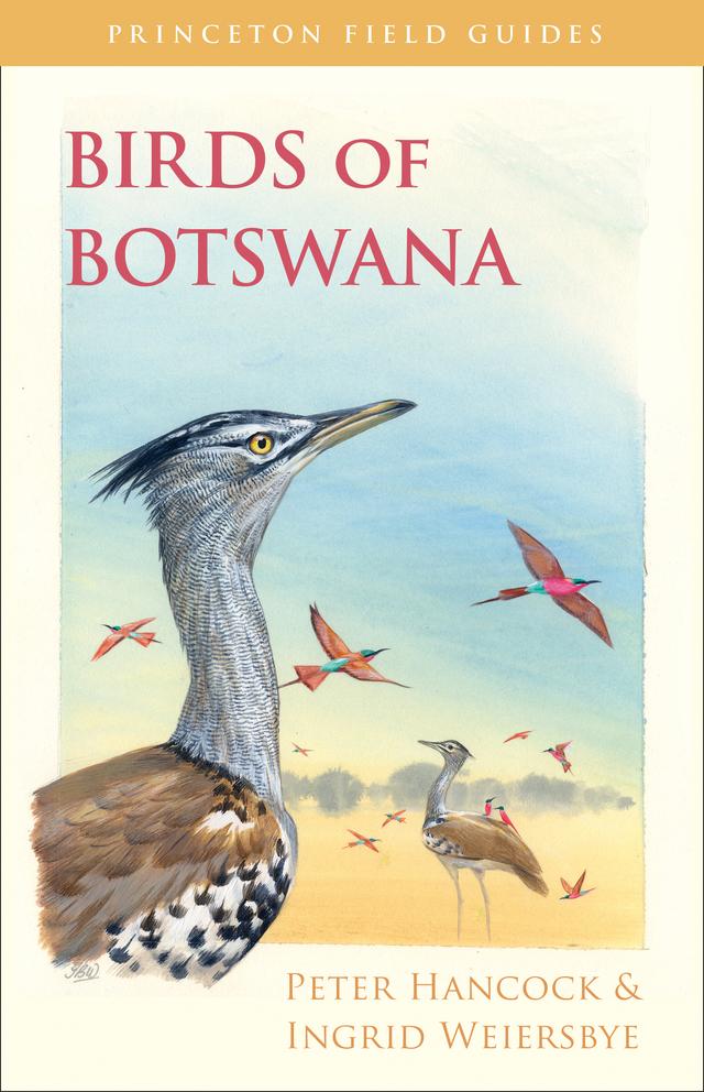 Birds of Botswana by Ingrid Weiersbye, Peter Hancock