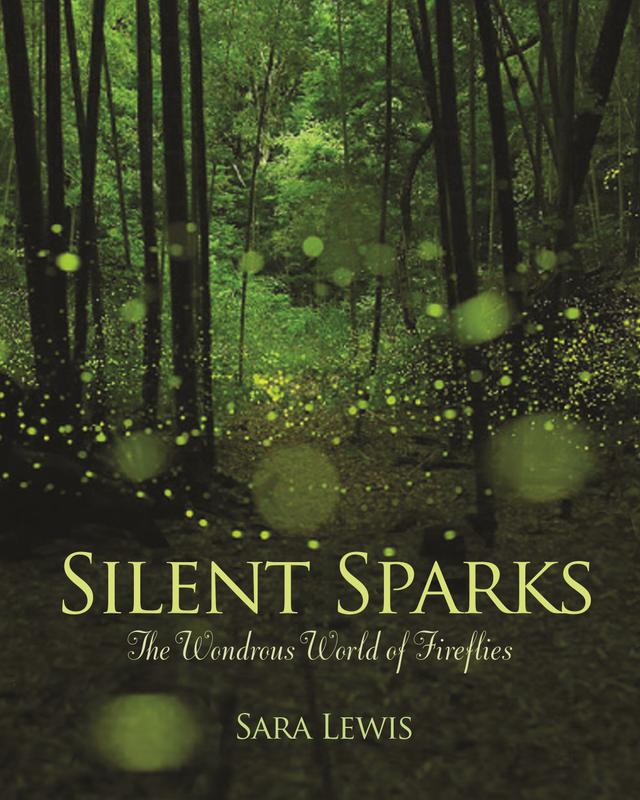 Silent Sparks by Sara Lewis