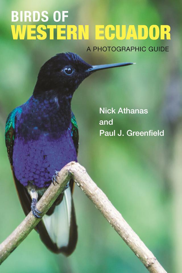 Birds of Western Ecuador by Andrew Spencer, Iain Campbell, Nick Athanas, Pablo Cervantes Daza, Paul J. Greenfield, Sam Woods