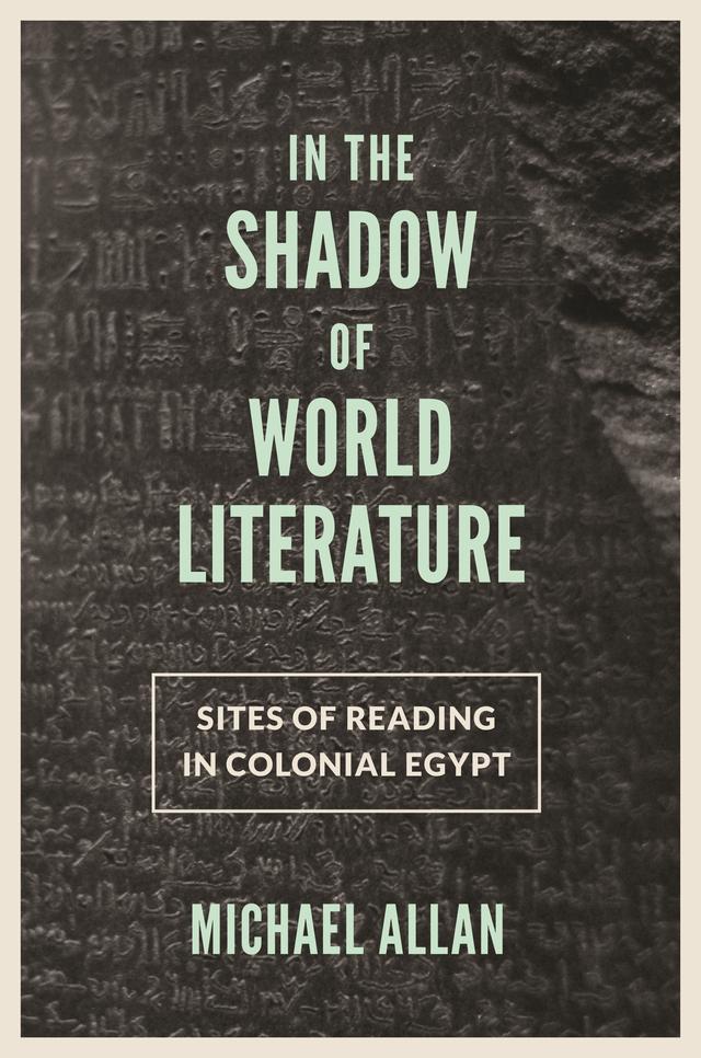 In the Shadow of World Literature by Michael Allan