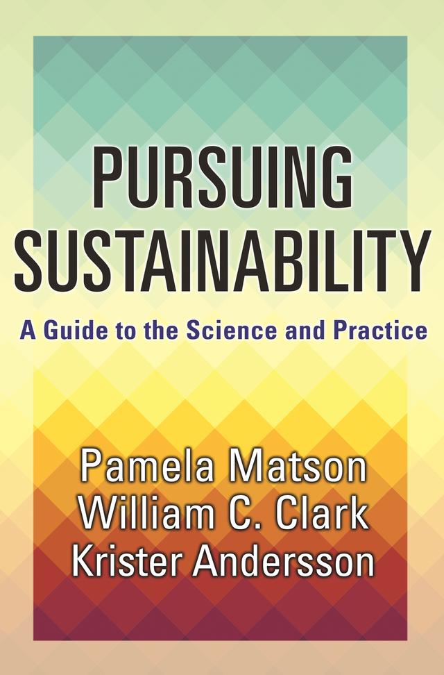 Pursuing Sustainability by Krister Par Andersson, Pamela Matson, William C. Clark