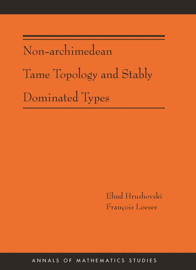 Non-Archimedean Tame Topology and Stably Dominated Types by Ehud Hrushovski, François Loeser