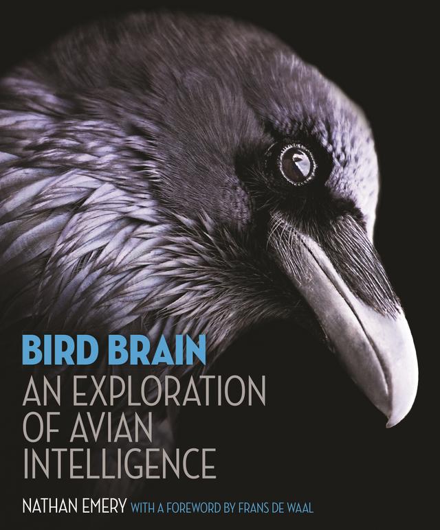 Bird Brain by Frans de Waal, Nathan Emery