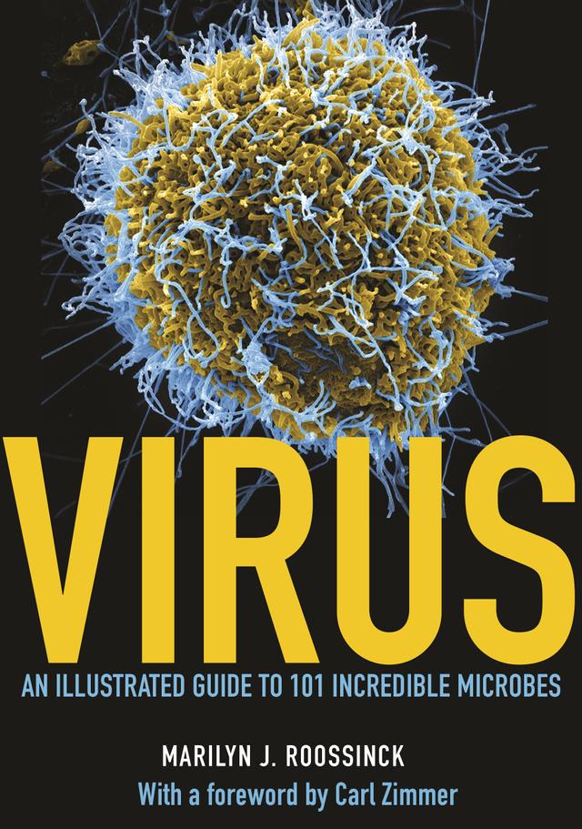 Virus by Carl Zimmer, Marilyn J. Roossinck