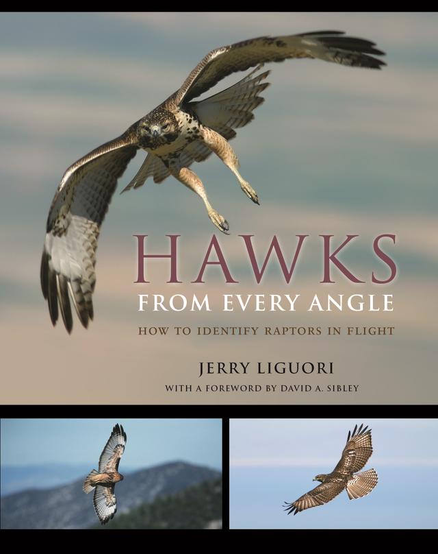 Hawks from Every Angle by David A. Sibley, Jerry Liguori