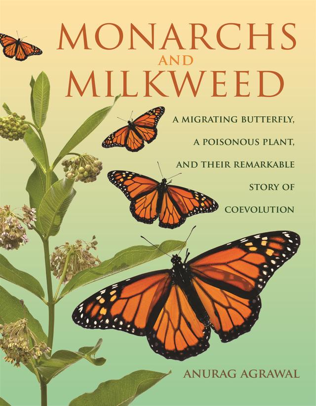 Monarchs and Milkweed by Anurag Agrawal