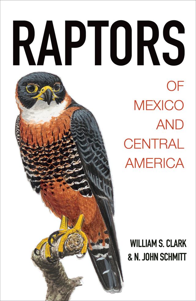 Raptors of Mexico and Central America by Lloyd Kiff, N. John Schmitt, William S. Clark