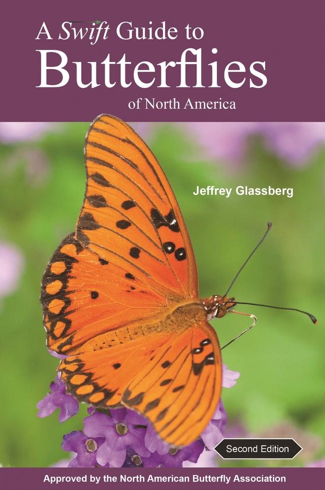 A Swift Guide to Butterflies of North America by Jeffrey Glassberg