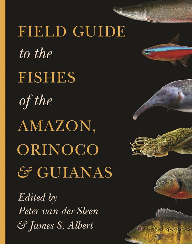 Field Guide to the Fishes of the Amazon, Orinoco, and Guianas by James S. Albert, Peter van der Sleen