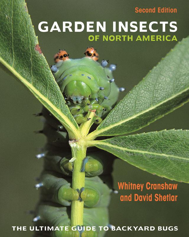 Garden Insects of North America by David Shetlar, Whitney Cranshaw