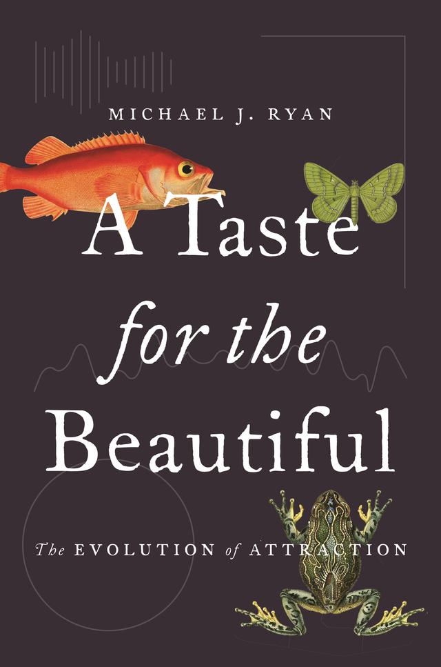 A Taste for the Beautiful by Michael J. Ryan