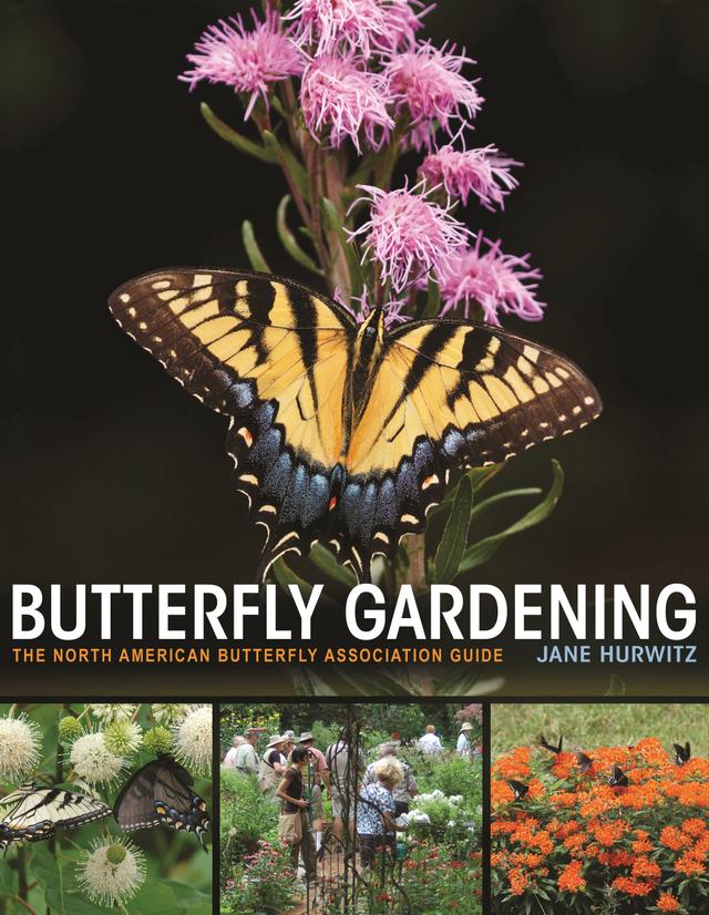 Butterfly Gardening by Jane Hurwitz