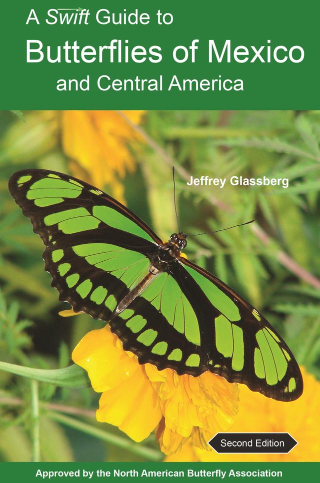 A Swift Guide to Butterflies of Mexico and Central America by Jeffrey Glassberg