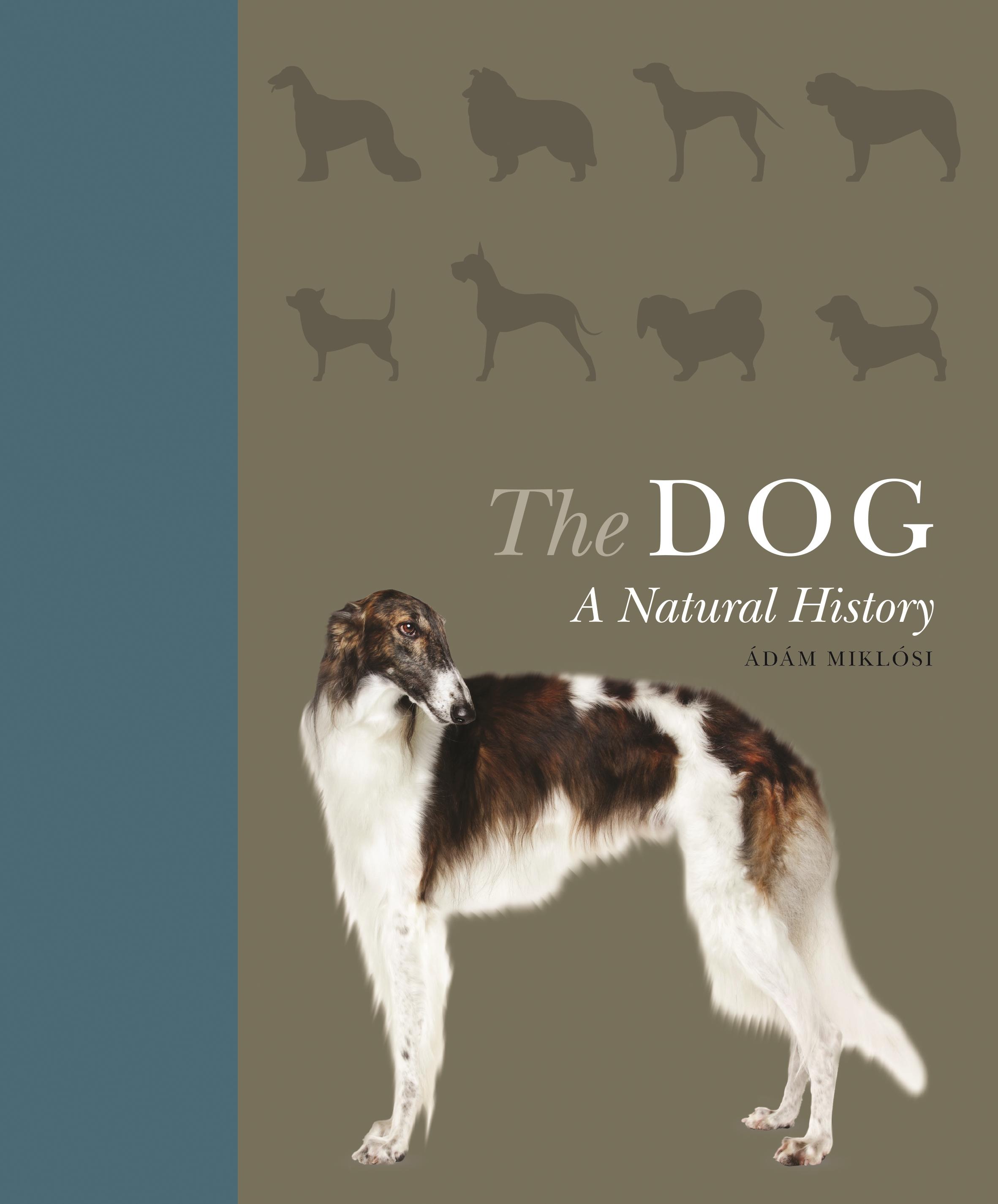 The Dog