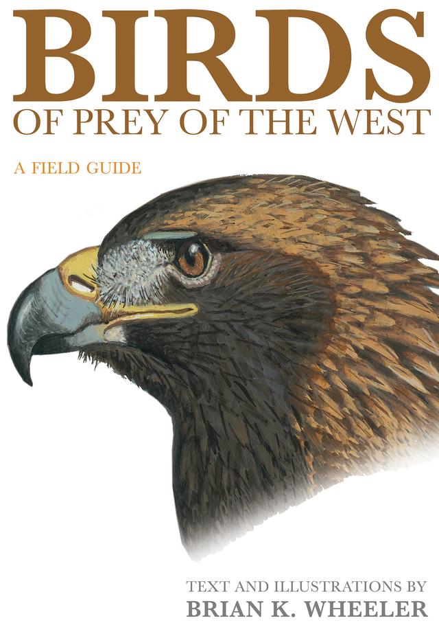 Birds of Prey of the West by Brian K. Wheeler