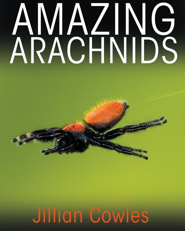 Amazing Arachnids by Jillian Cowles