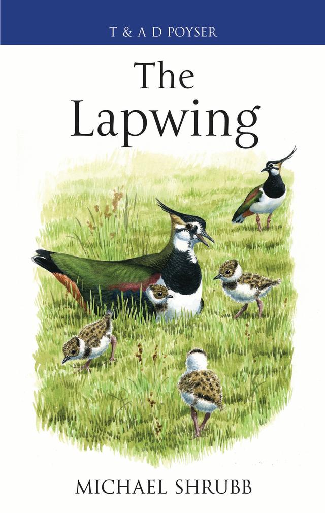 The Lapwing by 