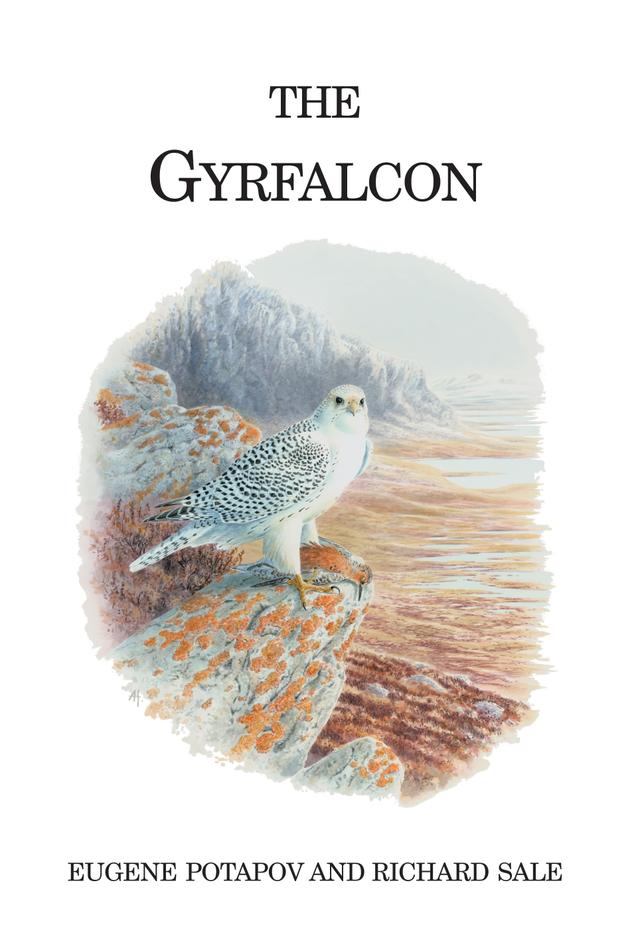 The Gyrfalcon by 