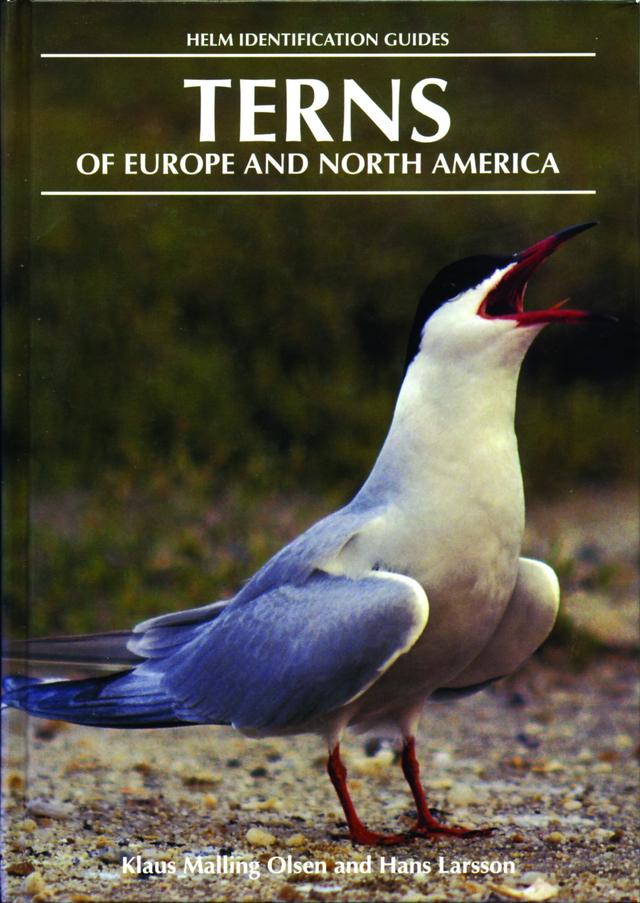 Terns of Europe and North America by Hans Larsson, Klaus Malling Olsen