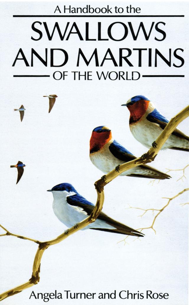 A Handbook to the Swallows and Martins of the World by Angela Turner, Chris Rose