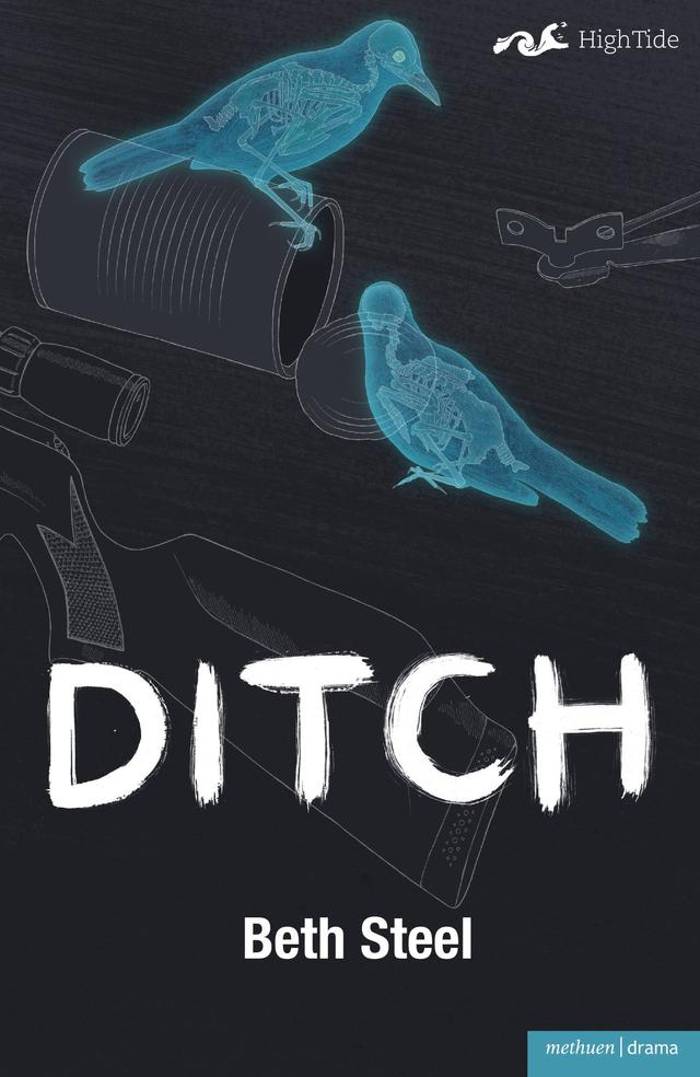Ditch by Beth Steel