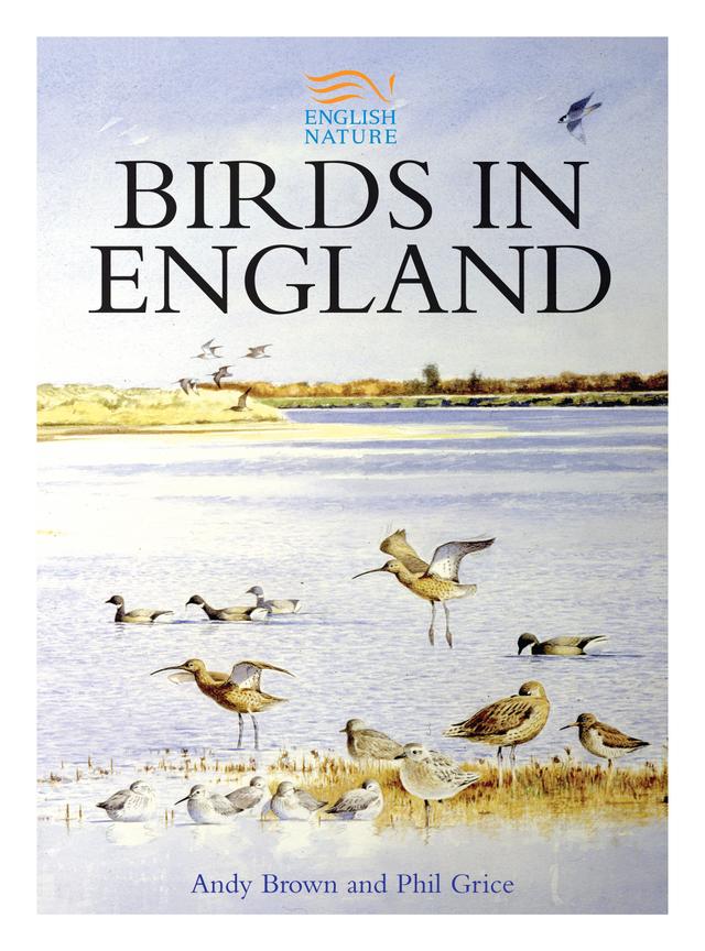 Birds in England by Andy Brown, Phil Grice
