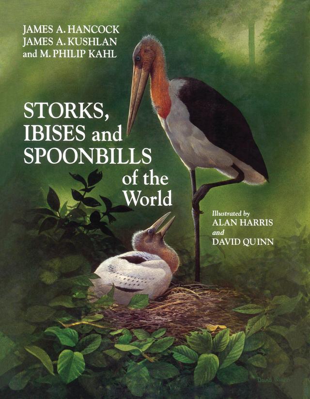 Storks, Ibises and Spoonbills of the World by Alan Harris, David Quinn, James A. Kushlan, James Hancock, M. Philip Kahl