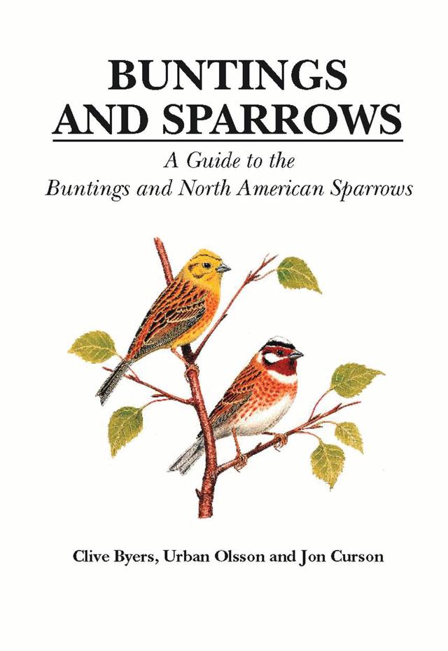 Buntings and Sparrows by Clive Byers, Jon Curson, Urban Olsson