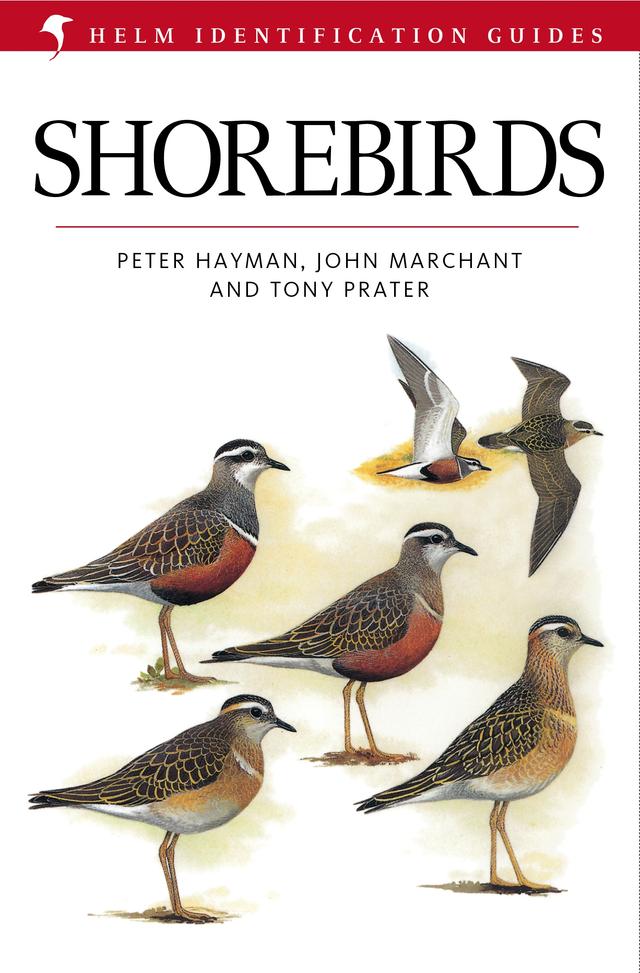 Shorebirds by John Marchant, Peter Hayman, Tony Prater