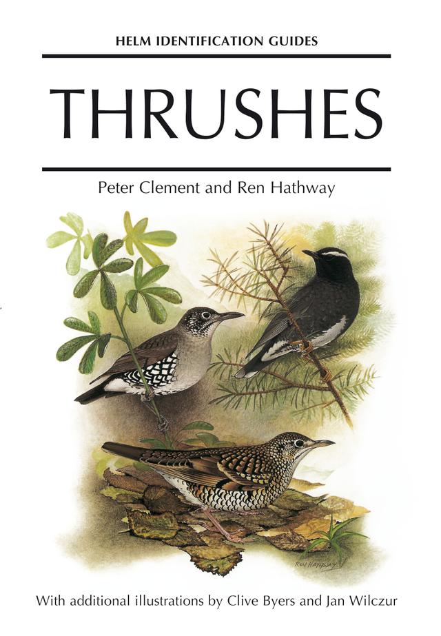 Thrushes by Clive Byers, Jan Wilczur, Peter Clement, Ren Hathway