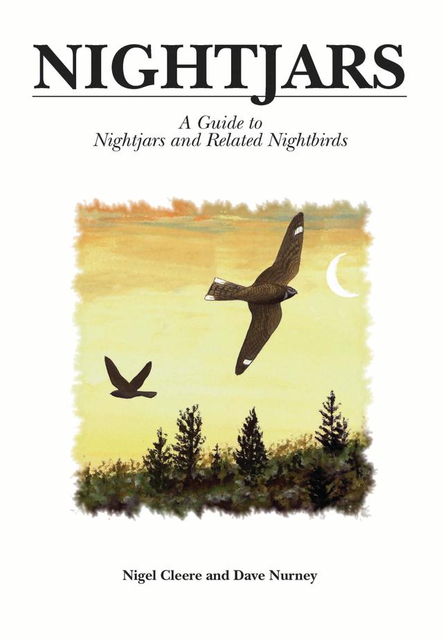 Nightjars by Dave Nurney, Nigel Cleere