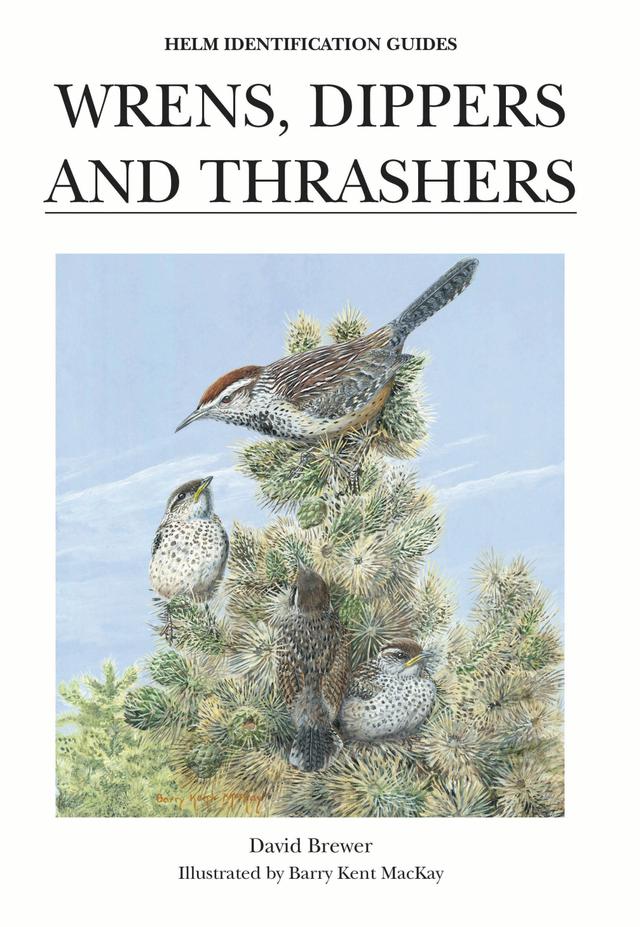 Wrens, Dippers and Thrashers by Barry Kent MacKay, David Brewer