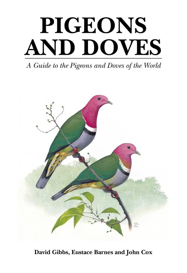Pigeons and Doves by David Gibbs, Eustace Barnes, John D. Cox