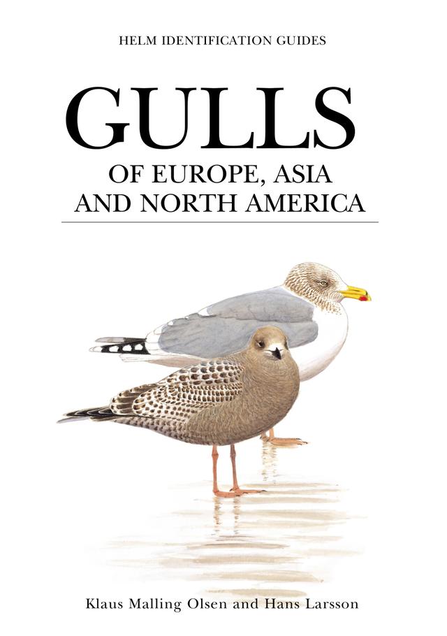 Gulls of Europe, Asia and North America by Hans Larsson, Klaus Malling Olsen