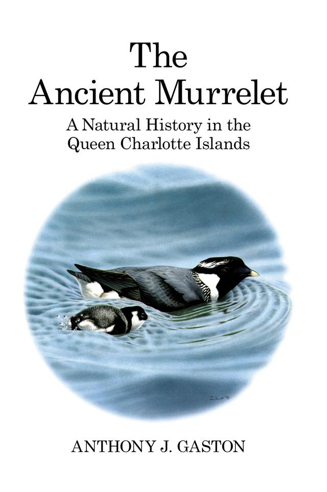 The Ancient Murrelet by Anthony J. Gaston, Ian Jones, Ian Lewington