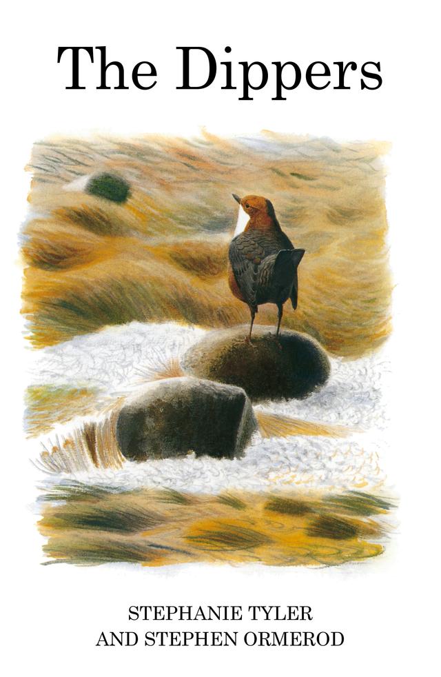 The Dippers by 