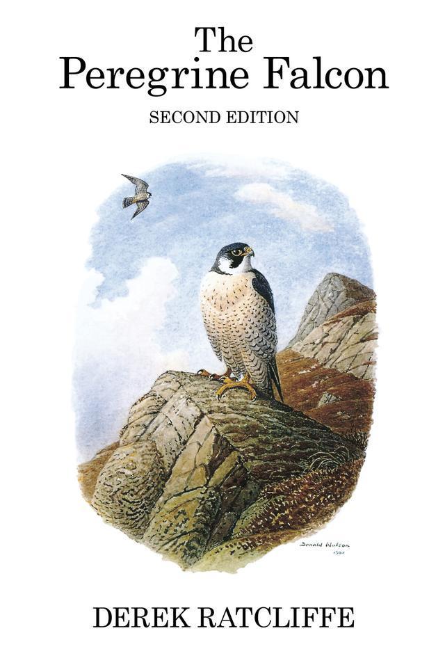 The Peregrine Falcon by 